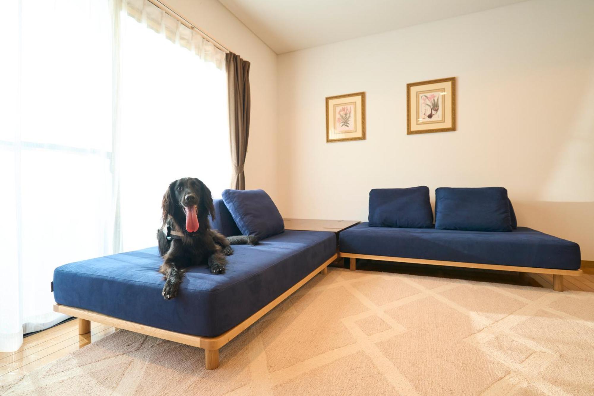 Suite Villa Izukogen Prime 伊東市 エクステリア 写真