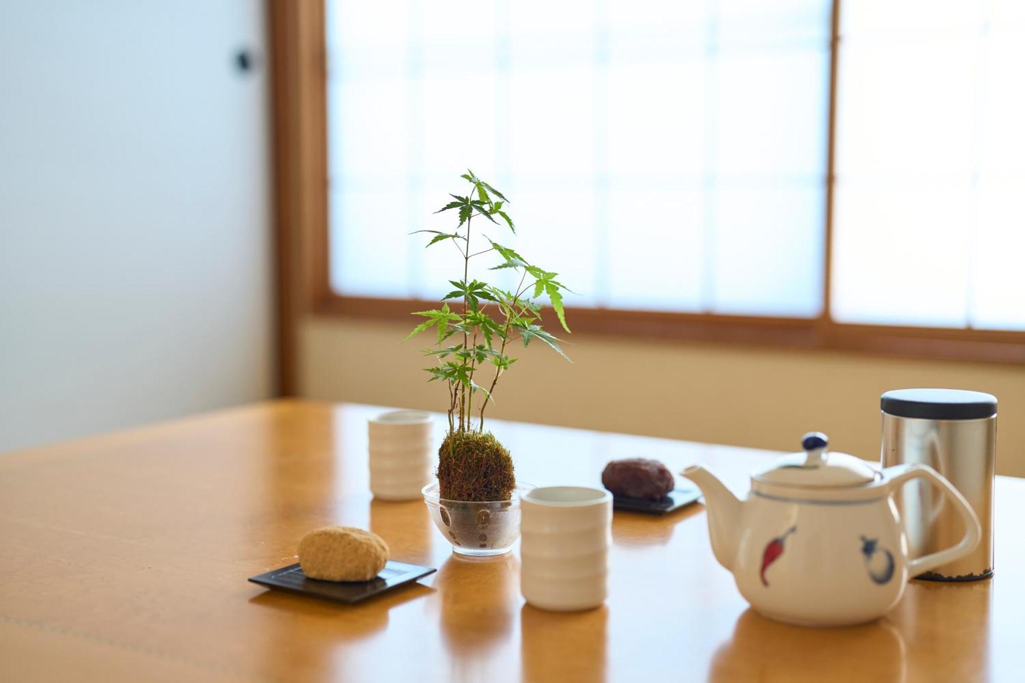 Suite Villa Izukogen Prime 伊東市 エクステリア 写真